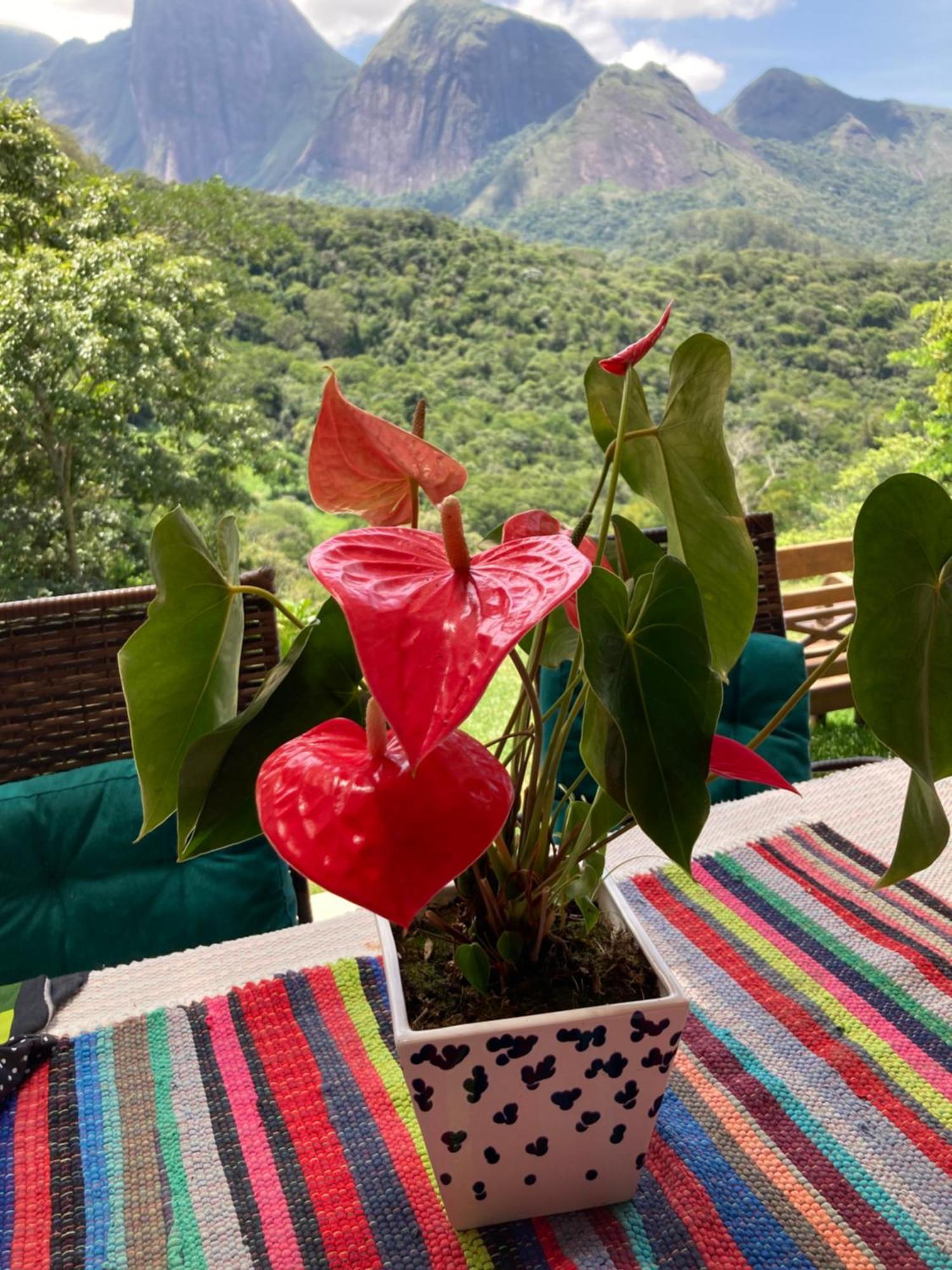 A Cabana Mais Bucolica De Araras Petrópolis Exteriér fotografie